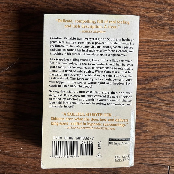 4 books for $16 - LOW COUNTRY by Anne Rivers Siddons - Picture 4 of 4